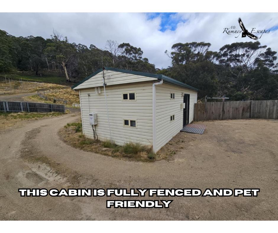 Mount Rumney Escapes - Platypus Cabin Extérieur photo